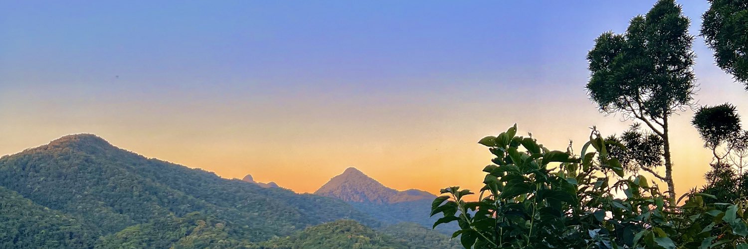 Ben Rodrigues banner