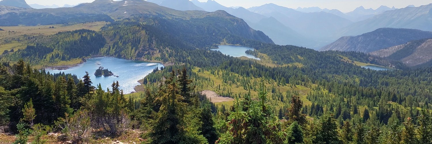 Sandra Peterson banner