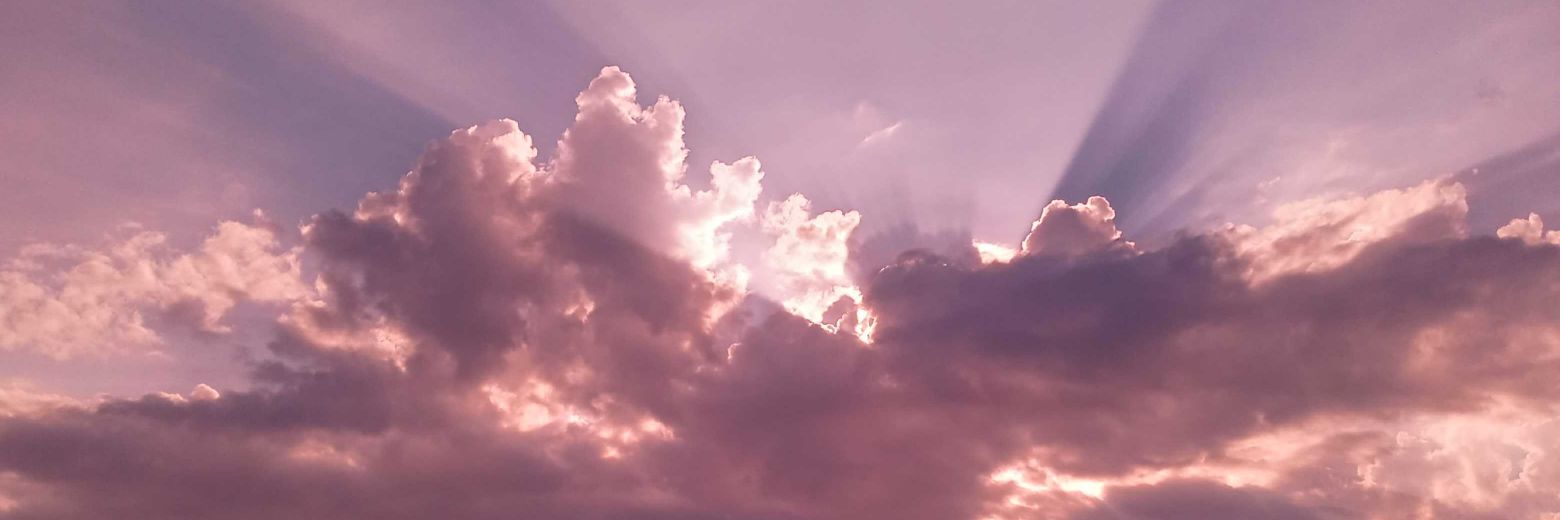 Cosmic Muffin🌿 banner