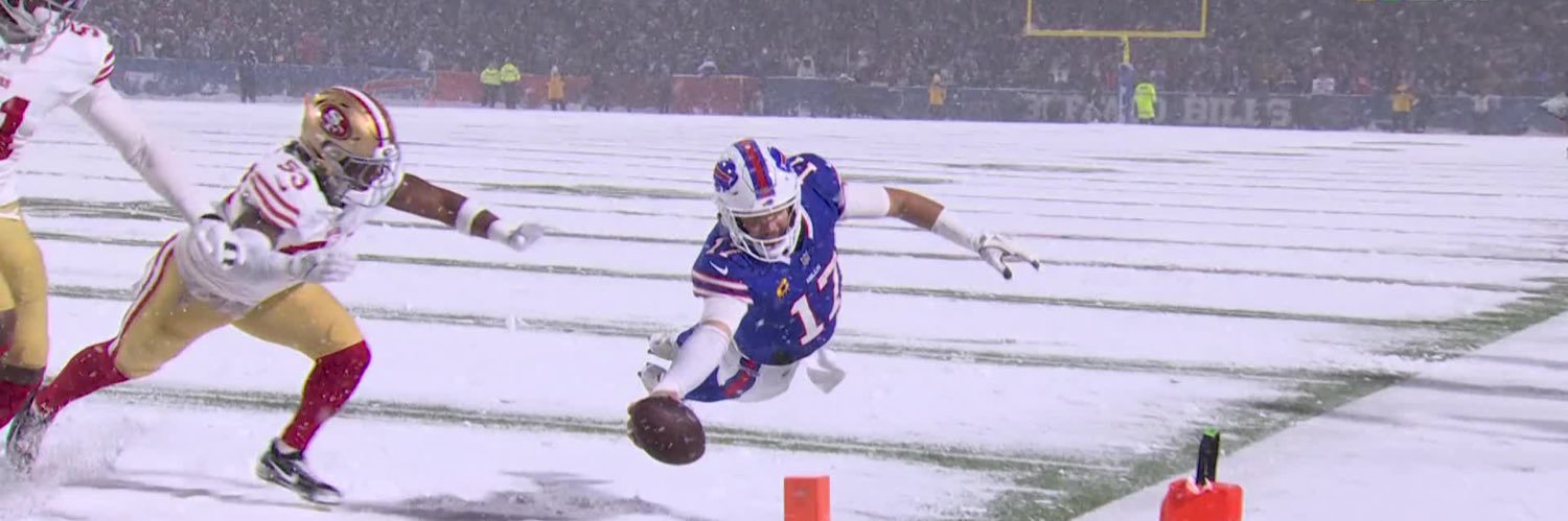 TheRedHeadGurl💙🦬❤🇺🇸🐯 banner