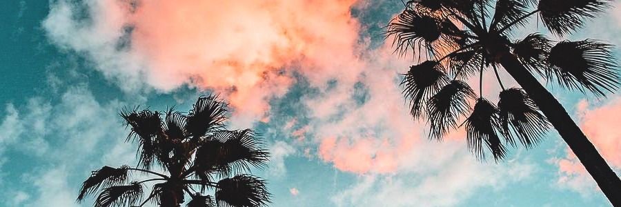 Franherman22's profile banner image