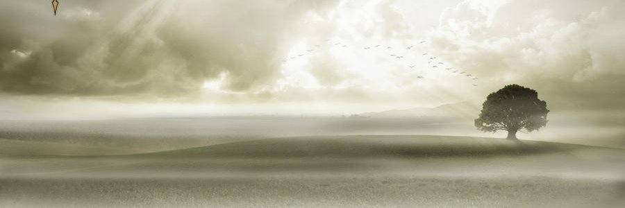 Alex_Hunt90's profile banner image
