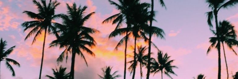 MissGeta's profile banner image