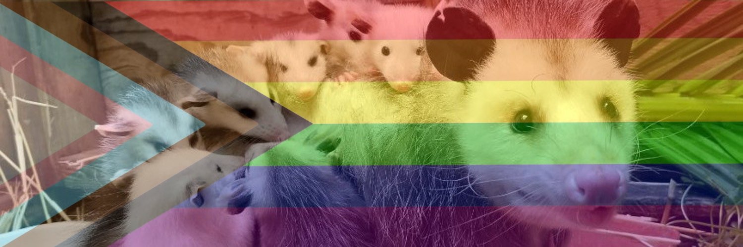 pineappletime's profile banner image