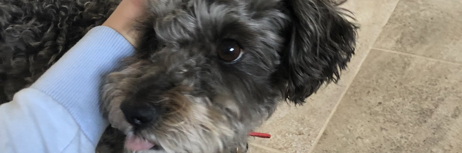 LauraBellamy5's profile banner image