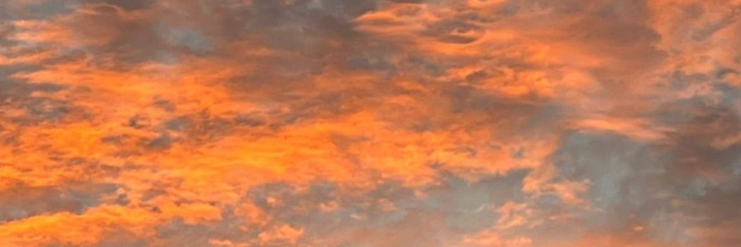 flopy1994's profile banner image