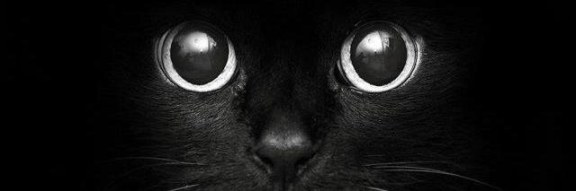 Lee_Passoni's profile banner image