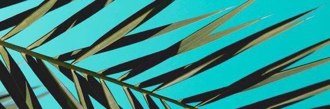AllissonMattos's profile banner image