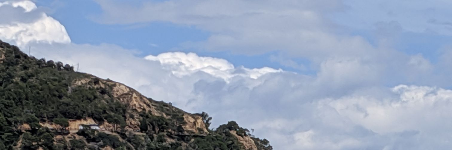 Meggie Fredman banner