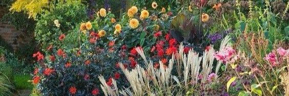 Marisa_Llorente's profile banner image