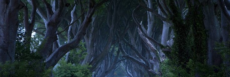 Dr. Samuel Gillis Hogan banner