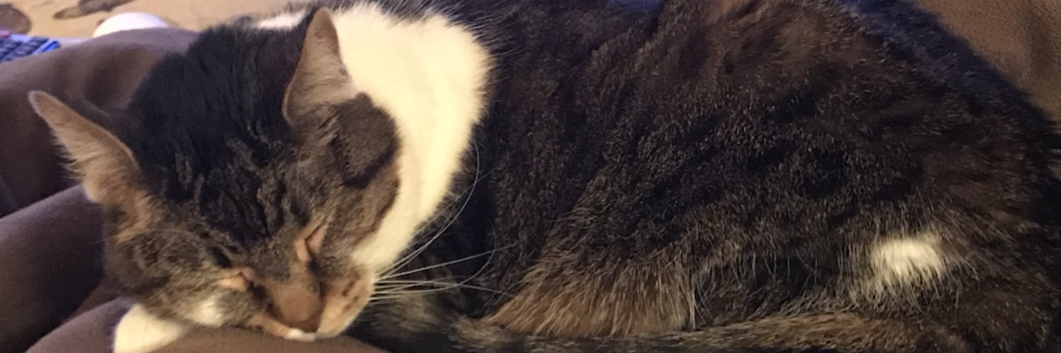 Laura Lee Wozniak, B.A.🌻🇺🇸🇺🇦🏳️‍🌈 banner