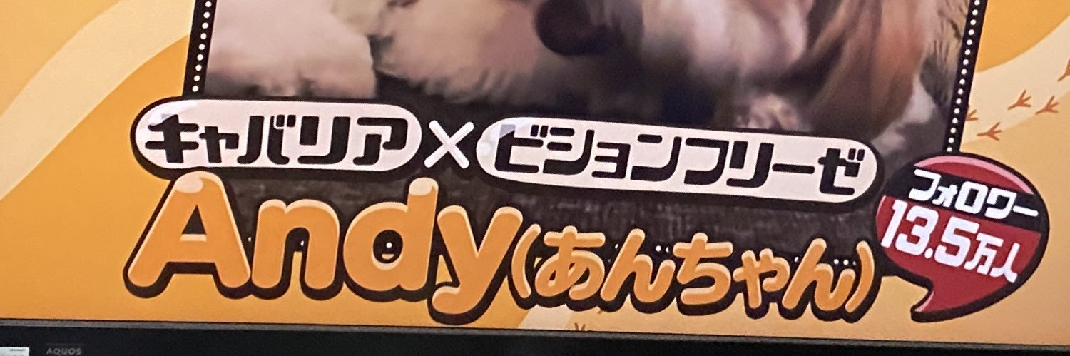 midori__station's profile banner image