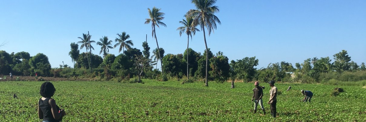 Anne Charlestin banner