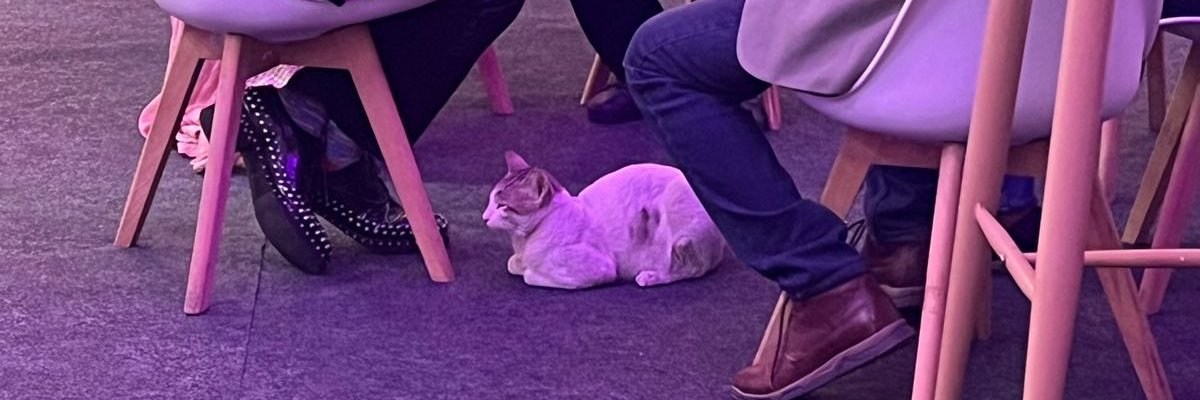 ToadTweets's profile banner image