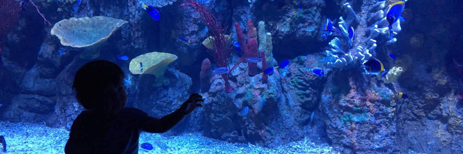 Narisqa Advokat banner