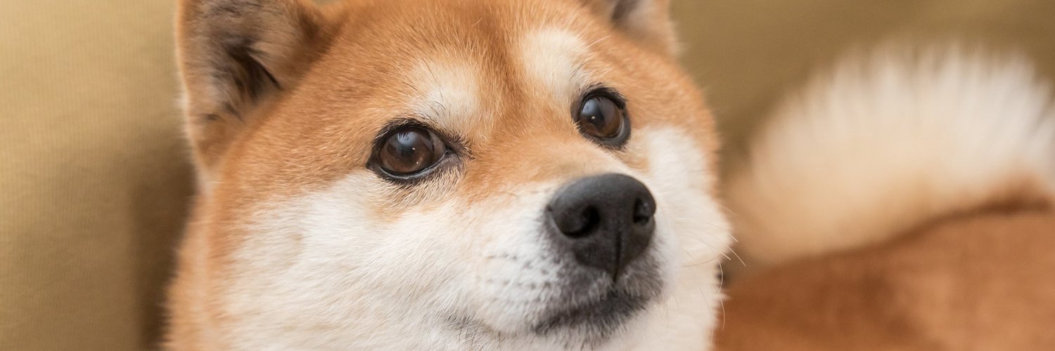 TAN_AUS's profile banner image