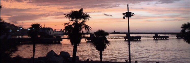 _schenelif's profile banner image