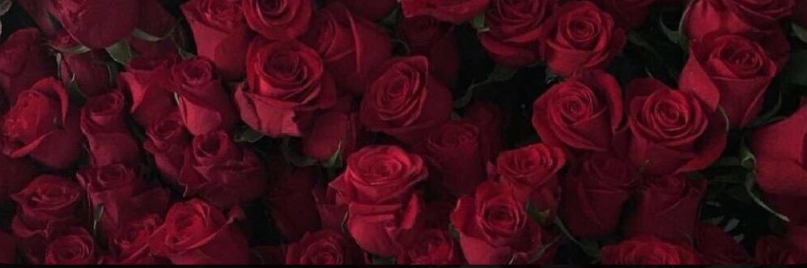 _sheillyyy's profile banner image