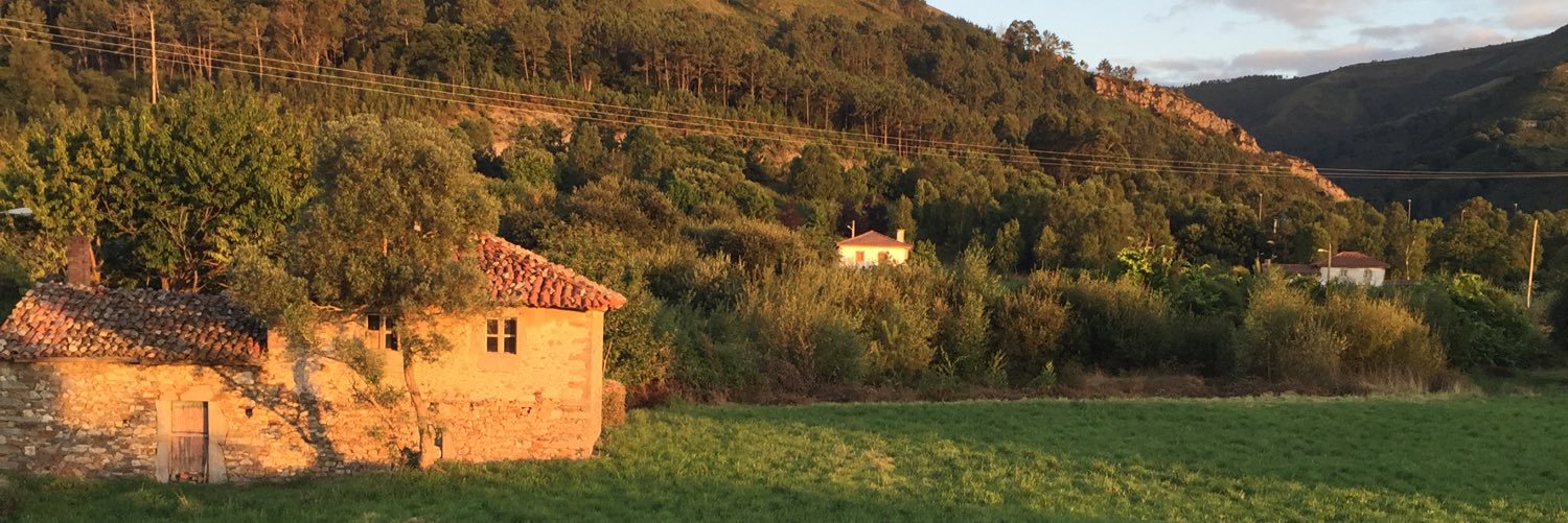 Beatriz Perez Abraham banner