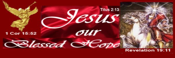 Annette_Meisner Profile Banner