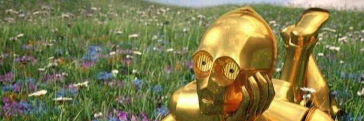 RhysBear_'s profile banner image