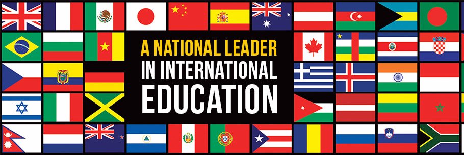 Wise Education Group banner