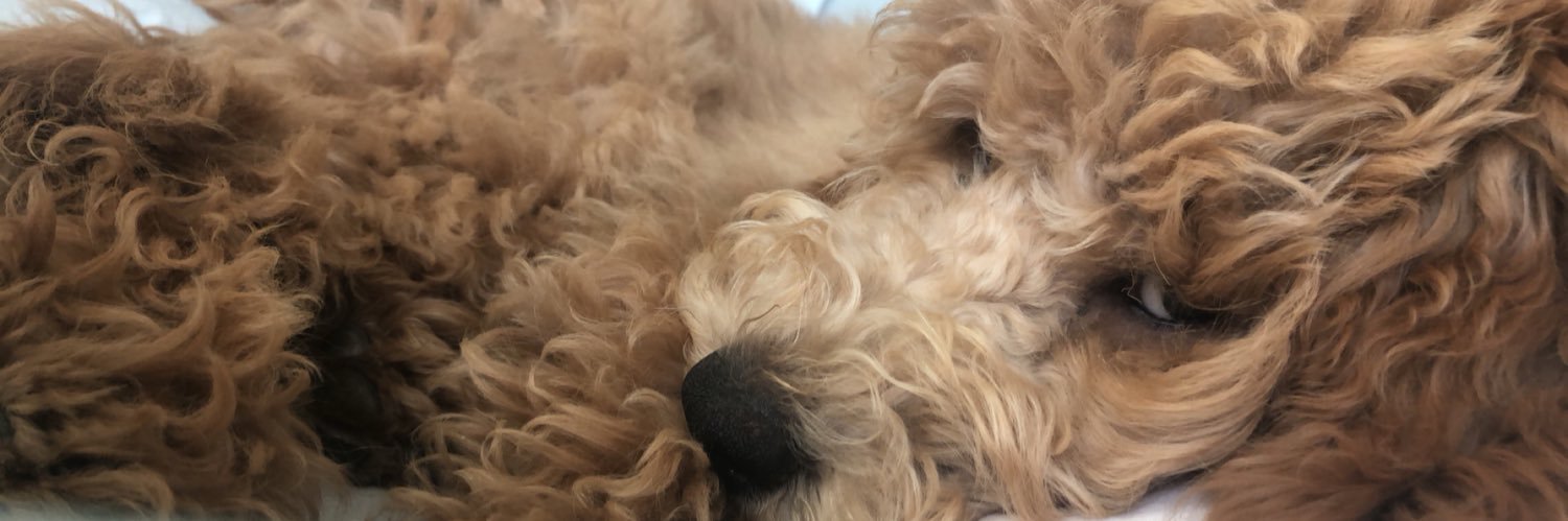 EmileenMarieee's profile banner image
