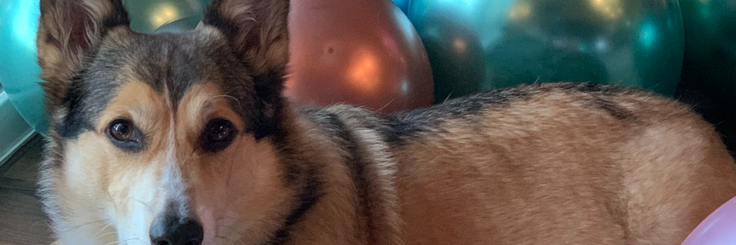 MJ_Rustle's profile banner image