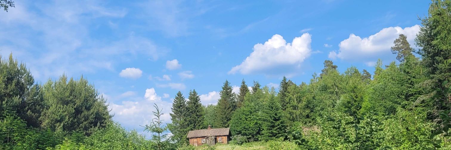 Z🏔 banner