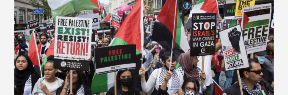 #StopGenocide #FreePalestine banner