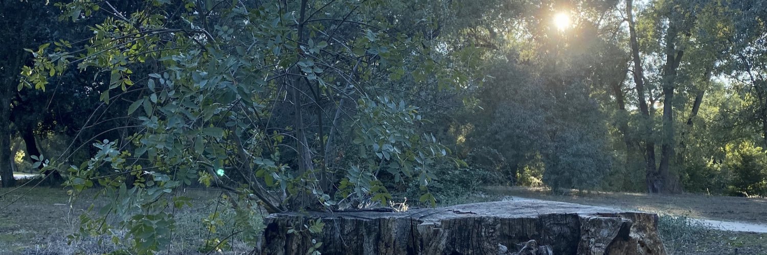 RafaLR8's profile banner image