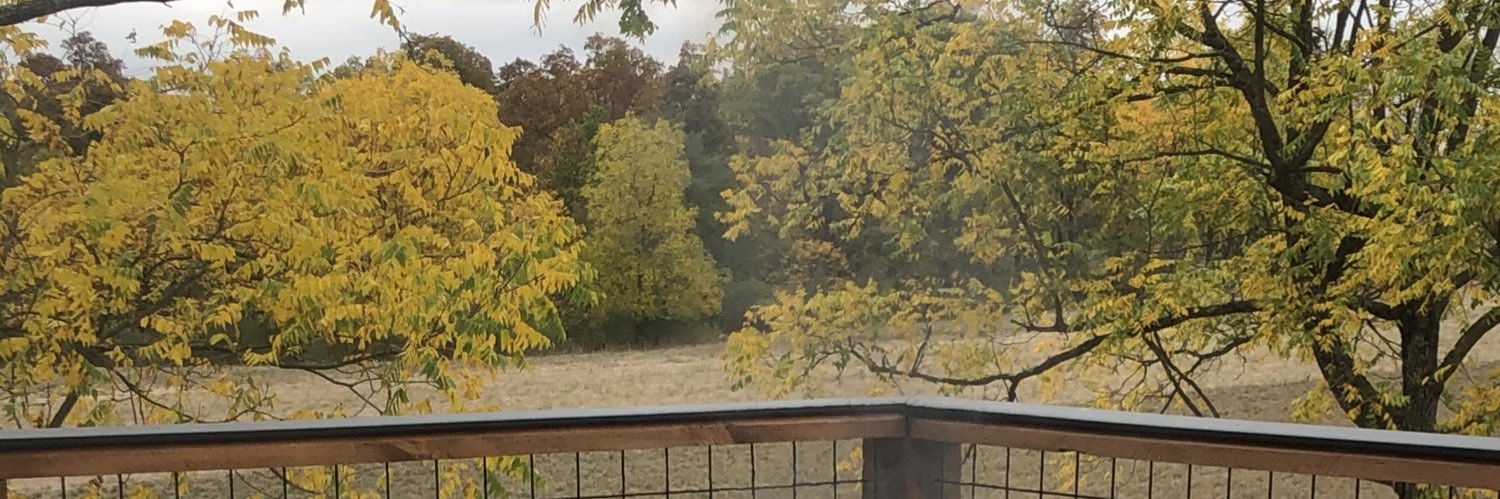 Trisha Milheim banner