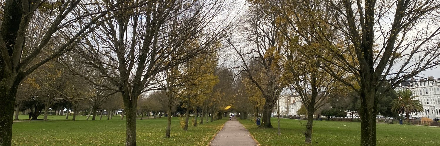 Amelia Chisholm banner