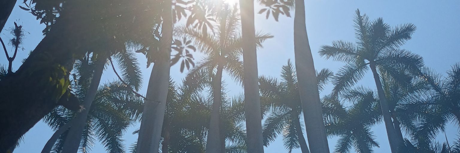 MikePM18's profile banner image