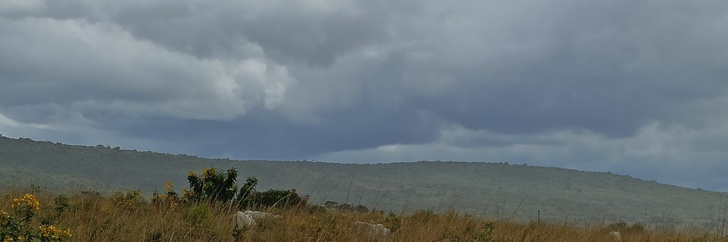 ZenDias's profile banner image