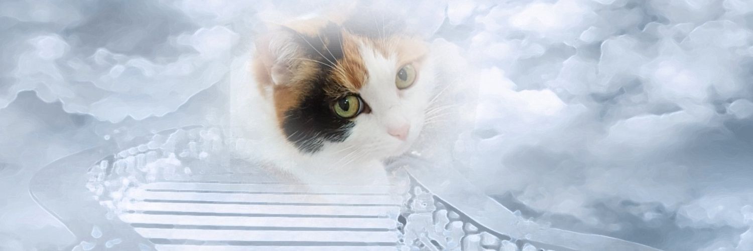 RutterJulie's profile banner image
