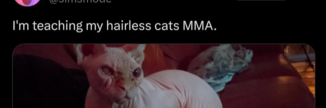 ˢᶦᵐˢ 🦾🌌 banner