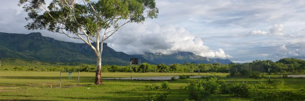 Damien Farrell banner