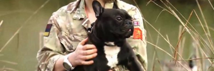 cancerwarriordiaries banner