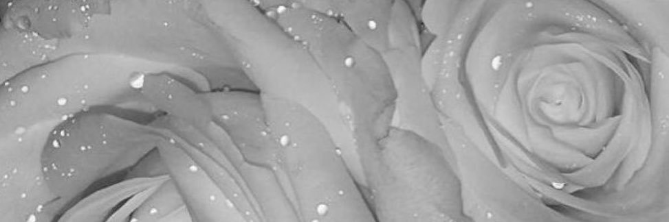 19990403kit's profile banner image