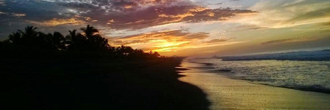 el_masimo's profile banner image