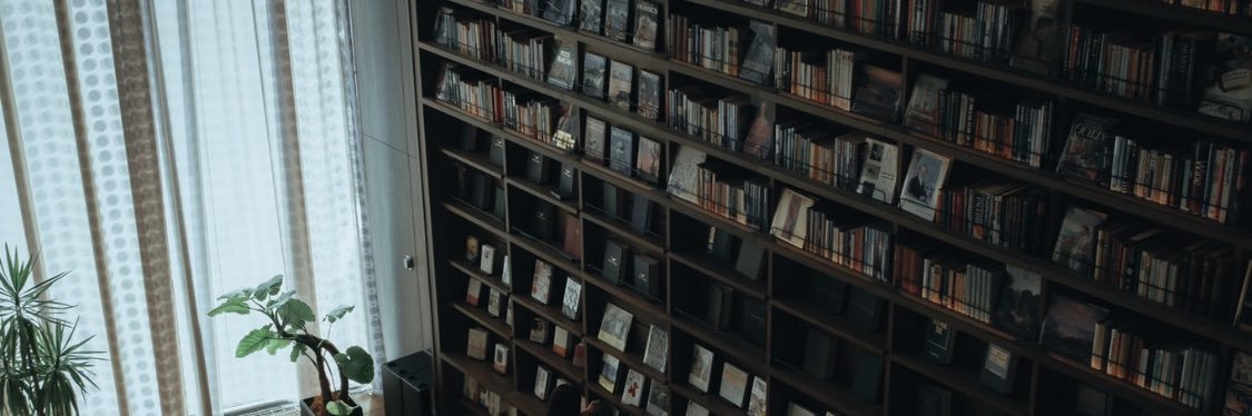 lilum22's profile banner image