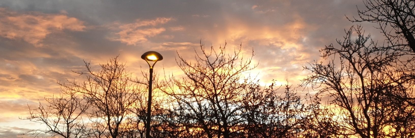 chanel_dcn31's profile banner image