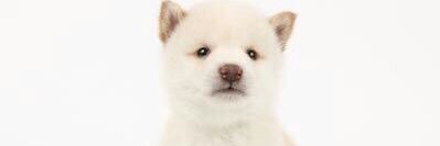 narurui0526's profile banner image