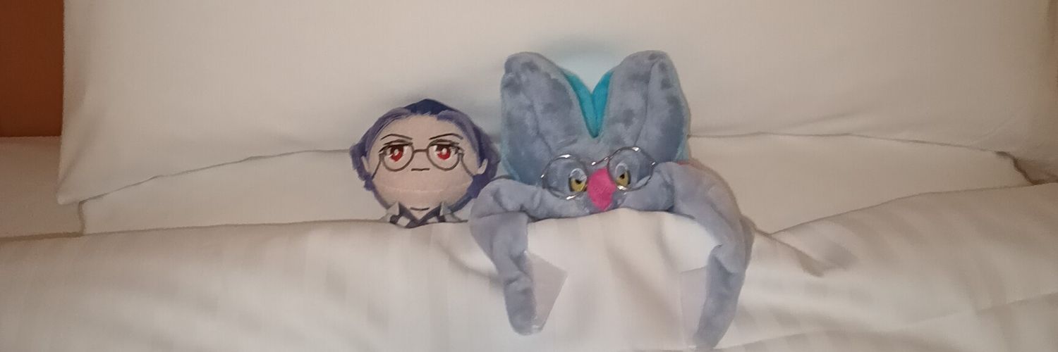 nndpoke's profile banner image