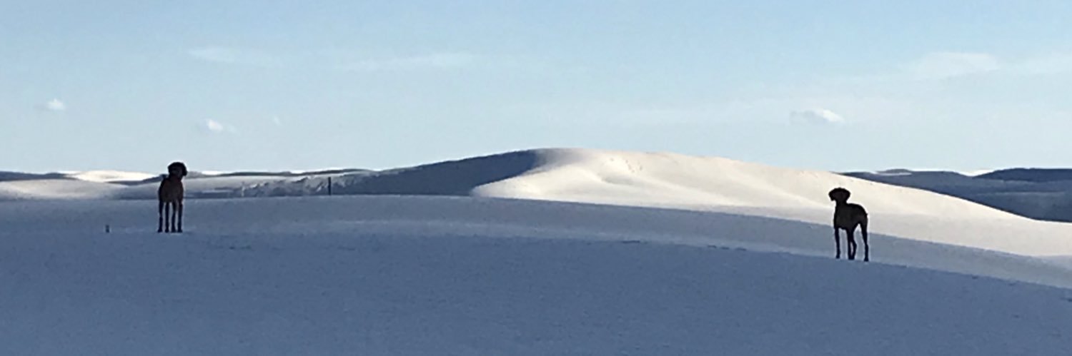 Daniella Chusyd banner