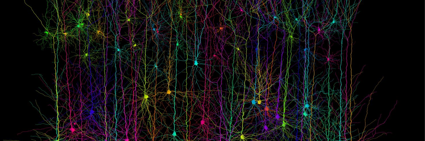 International Brain Laboratory's banner