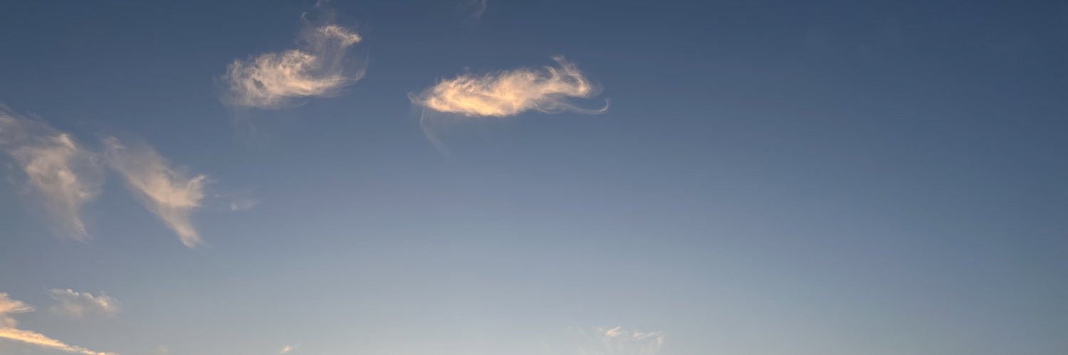 Shan Huang（黄珊） banner