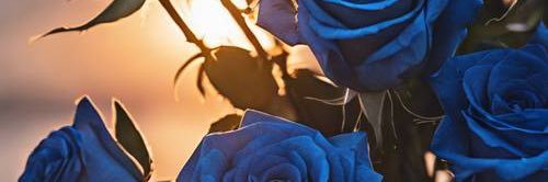 عالم التوجيه الطلابي 7anan banner